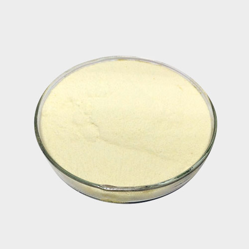 custom-enzyme-blends_193925.jpg