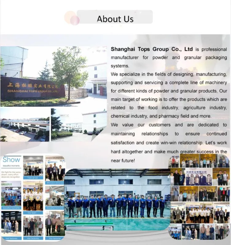 2021 Customized Made Chemical Powder Ribbon Mixing Equipment