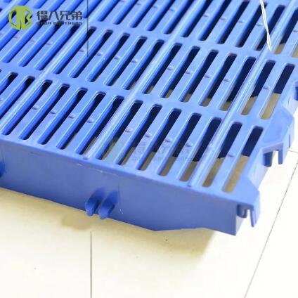 Enhancing Swine Welfare: The Impact of Swine Plastic Floor Design