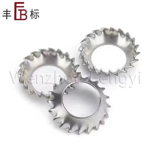 How to Choose the Right DIN 6798V Stainless Steel External Countersunk Lock Washer