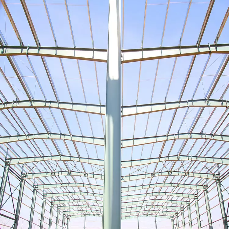 Why Are More People Building Steel Structure Farms?