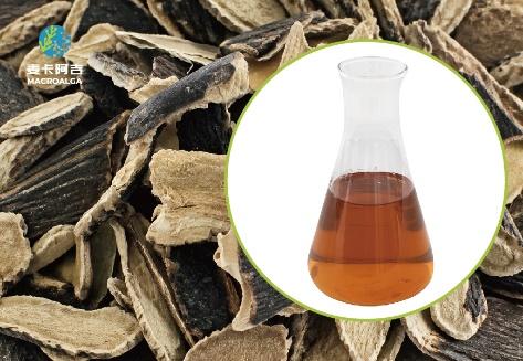 Reliable Ecklonia maxima Extract Ranking: Top Picks for Purity and Potency