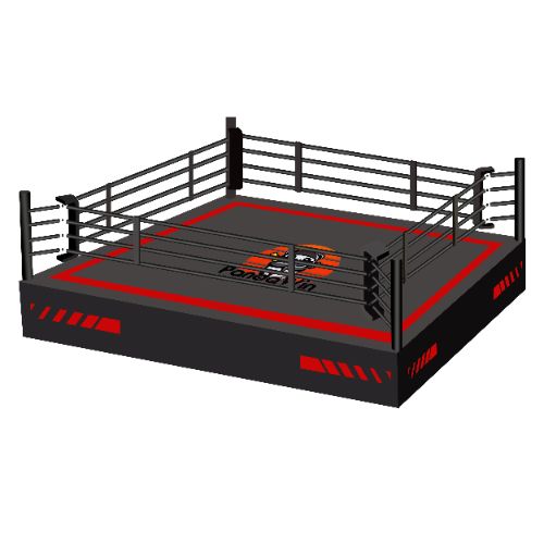 Boxing Ring Factory Selection Tips for Professional Gyms and Promoters