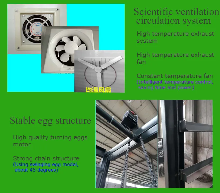 Factory Offer Best Seller Egg Incubator Machine Electric Incubator for Eggs and Duck Eggs