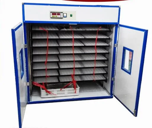 High Hatching Rate Egg Incubator for Sale