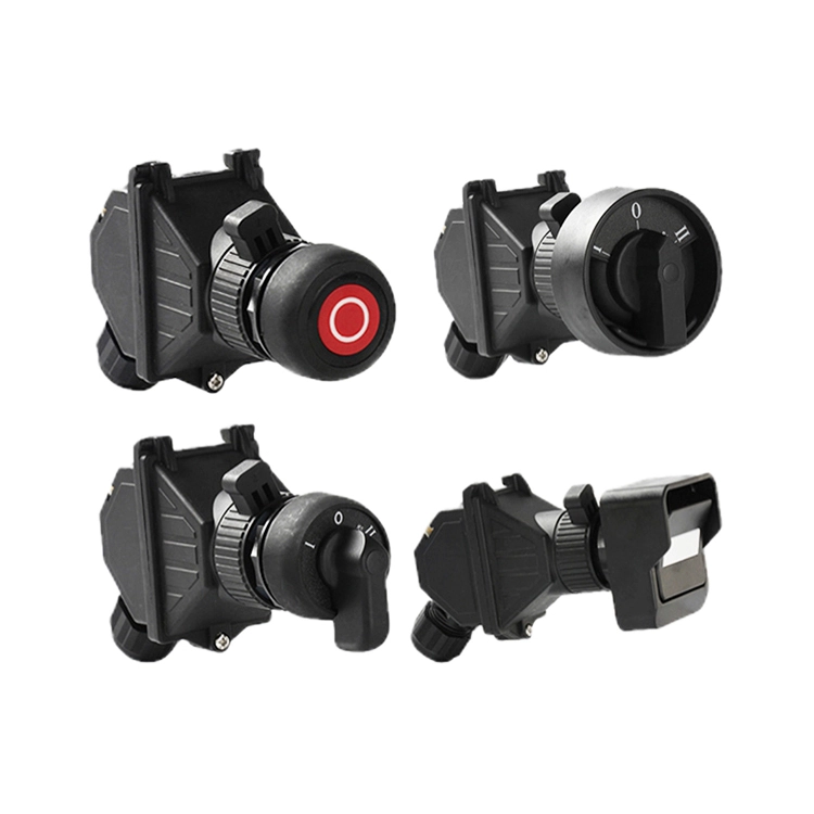 explosion-proof switch