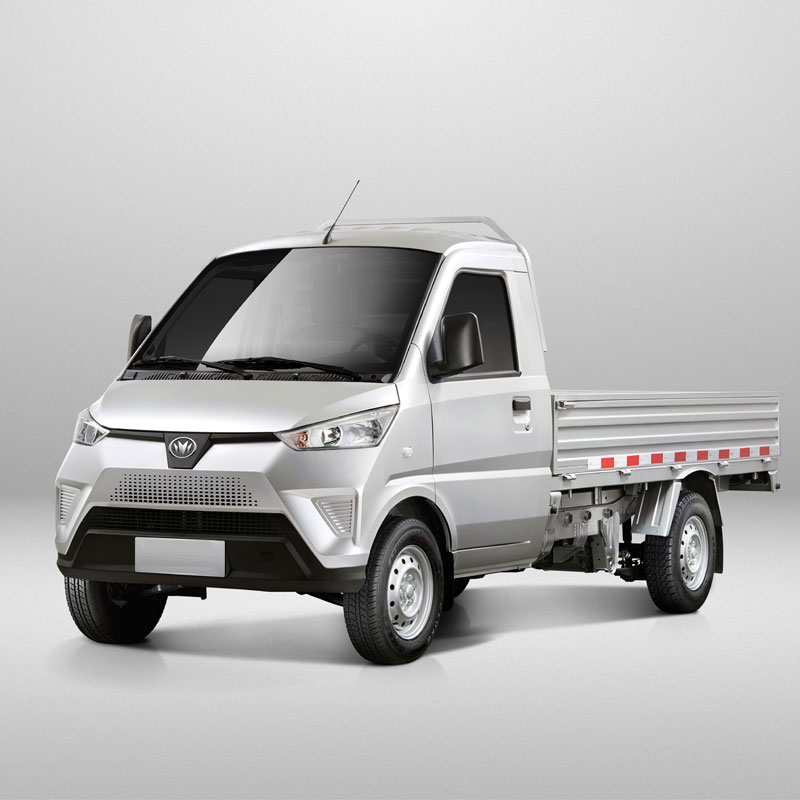 Mini Truck