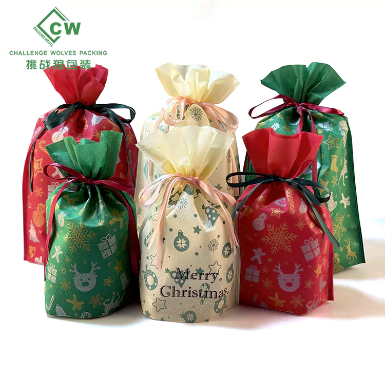 Non Woven Gift Bag